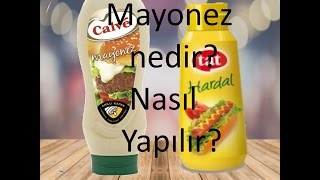 Mayonez nedir? Nasıl yapılır?