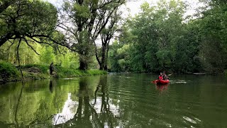 Szigetköz - Ásványi ágrendszer (első nap)