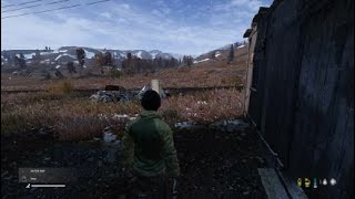 DayZ_20241210211647