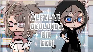 [꩜ Alfalar okulunda bir kedi ୨ৎ] Gacha life Türkçe ִ ࣪𖤐 GLMM || @starx0.1