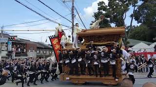 【HD高画質】令和元年 大鳥 だんじり 鳳だんじり祭 2019年‎10‎月‎5‎日