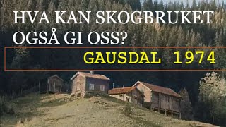 Hva kan skogbruket også gi oss - Gausdal 1974 (kolorert)