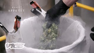 I Freeze Weed With Liquid Nitrogen for a Living