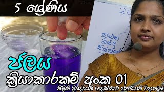 5 වසර ජලය පාඩම | ක්‍රියකාරකම 1.| grade 5 | water.  Thilini mis.