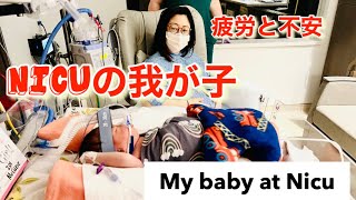 【予定帝王切開】入院中の様子とNICUでの赤ちゃんの様子【My stay at hospital after delivery and my baby at Nicu 】