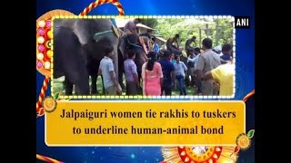 Jalpaiguri women tie rakhis to tuskers to underline human-animal bond