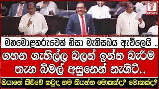 මහමොළකරුවෙක් නිසා මැතිසබය ඇවිලෙයි ..ගහන ගැහිල්ල බලන් ඉන්න බැරිම තැන බිමල් අසුනෙන් නැගිටී..