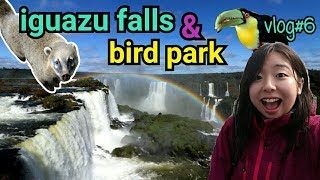 Iguazu Falls \u0026 The Bird Park -BRAZIL- イグアスの滝-ブラジル編-