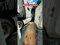 rookie driver did the unthinkable trucker trucking bigrig stuck ohno opps