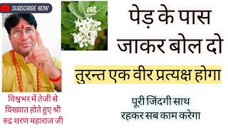 वीर घण्टो में प्रकट// सबसे सरल और जल्द सिद्ध होने वाली//पहले बता देता है सब कुछ...