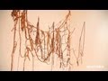 Singular Visions: Eva Hesse, No Title, 1970