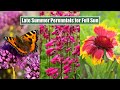 9 Gorgeous Late Summer Perennials for a Sunny Garden Spot