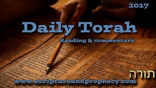 Torah Daily #18: Bereishis (Genesis) Chapter 20-21 - Issac Is Born, Ishmael is Sent Away