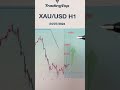 #trading #tradingforex #tradingstrategy #tradingtop #forex #forextrader #xauusdgold #xauusdsignals