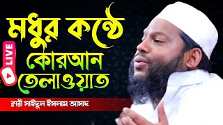 আহ! একি তিলাওয়াত। কারী সাইদুল ইসলাম আসাদ  Qari Saidul Islam Asad