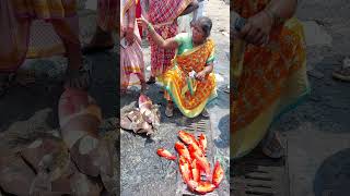 #Tomato 🍅 Grouper #fish yallam #fish #market kasimedu #chennai #shots