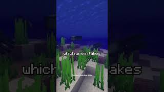 Speed Running Black Dye in Minecraft #shorts