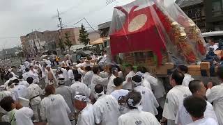 長丁場神輿振り櫟谷社2024年松尾祭還幸祭おかえり