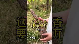 沉香究竟是怎样的烂木头加价到70万，都不卖 喜欢沉香的朋友添加微信:553933885