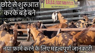 सिरोही नस्ल की बड़ी बकरियाँ | Sirohi Goat Farming Rajasthan | Sirohi Big Goat