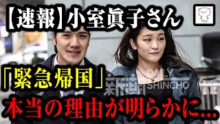 【速報】小室眞子さん「緊急帰国」 本当の理由が明らかに...