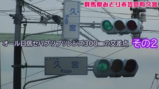 【信号機】群馬県みどり市笠懸町久宮 オール日信セパブツブツレンズ300㎜の交差点〈その2〉