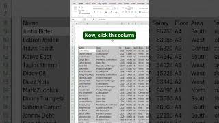 How to Clean Data in Excel Like a Pro! | Quick & Easy Excel Tips for Beginners #exceltricks #excel