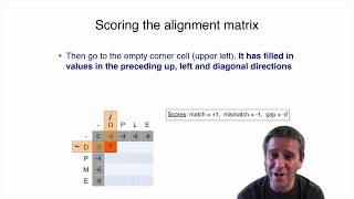 3.3 Dynamic programing, global alignment