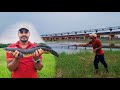 ఈడ froglure కి Big Size కొర్రమీనులు పడుతున్నయ్ మావ //Snakeheadfishing with froglure