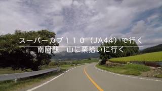 阿蘇ツーリング１分動画　南阿蘇　野生の栗拾いに行ってみた。