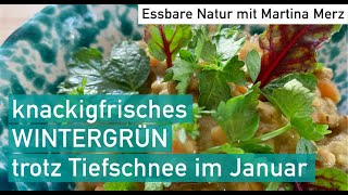 Trotz Schnee \u0026 Eis: Frische Kräuter aus Gemüseresten auf der Fensterbank