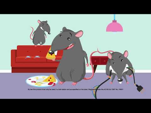 Kiwicare Rodent TVC 2018 Kiwicare Rodent TVC 2018