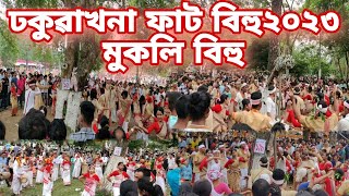 ঢকুৱাখনা ফাট বিহু  ২০২৩ II মুকলি বিহু II phat bihu 2023 dhakuakhana