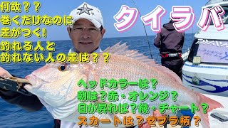 タイラバ＆イカメタル　巻くだけなのに、差がつく❕釣れる人と釣れない人の差は何❔