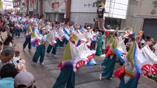 2016年[4K]京町･新京橋“ゑびす･しばてん連”｢第63回よさこい祭り･2日目･はりまや橋｣