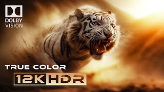Deeper Black | HDR 60fps 8k | Dolby Vision