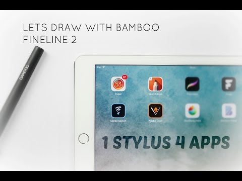 Bamboo Stylus Ipad Drawing