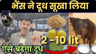 2lit से 10लीटर👉🏽भैंस का दूध बढ़ाने के लिए क्या खिलाएं 💪🏽 bhains ka dudh badhane ke liye kya khilaye