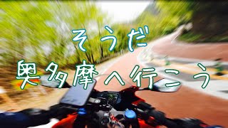 [モトブログ]奥多摩周遊道路が楽しすぎて往復しちゃったが、、、［CBR250RR］