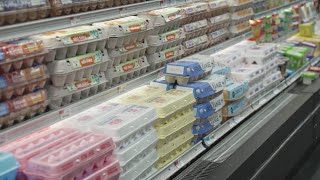 US turning to Turkey for egg imports