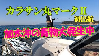 【和歌山釣り】加太沖で青物が入れ食い状態　釣れてますよ