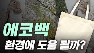 에코백은 진짜 환경에 도움이 될까?