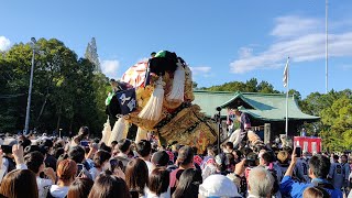 ‎【HD高画質】新居浜太鼓祭り 八幡神社 宮入 又野太鼓台 令和4年 2022年10月‎18日