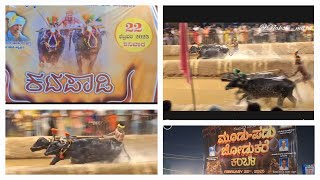 ಕಟಪಾಡಿ ಬೀಡು ಮೂಡು-ಪಡು ಜೋಡುಕೆರೆ ಕಂಬಳ 2025.| Katapadi Kambala  #kambala #kambalalive #kambala_fan #vlog