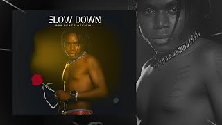 Brk Beatz - Slow Down (Official Audio)