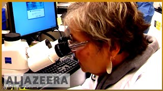 🇺🇸 CDC funding cuts put health programmes at risk | Al Jazeera English