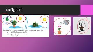 அறிவியல் செயற்பாங்கு திறன், மாறிகள், கருதுகோள் (ஆண்டு 4), variables/ hypothesis