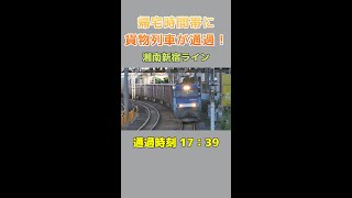 帰宅時間帯に貨物列車が走っている湘南新宿ラインに驚いた！