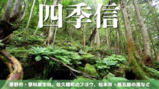 【地方発・長野】四季信