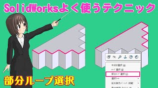 SolidWorks よく使うテクニック＿部分ループ選択